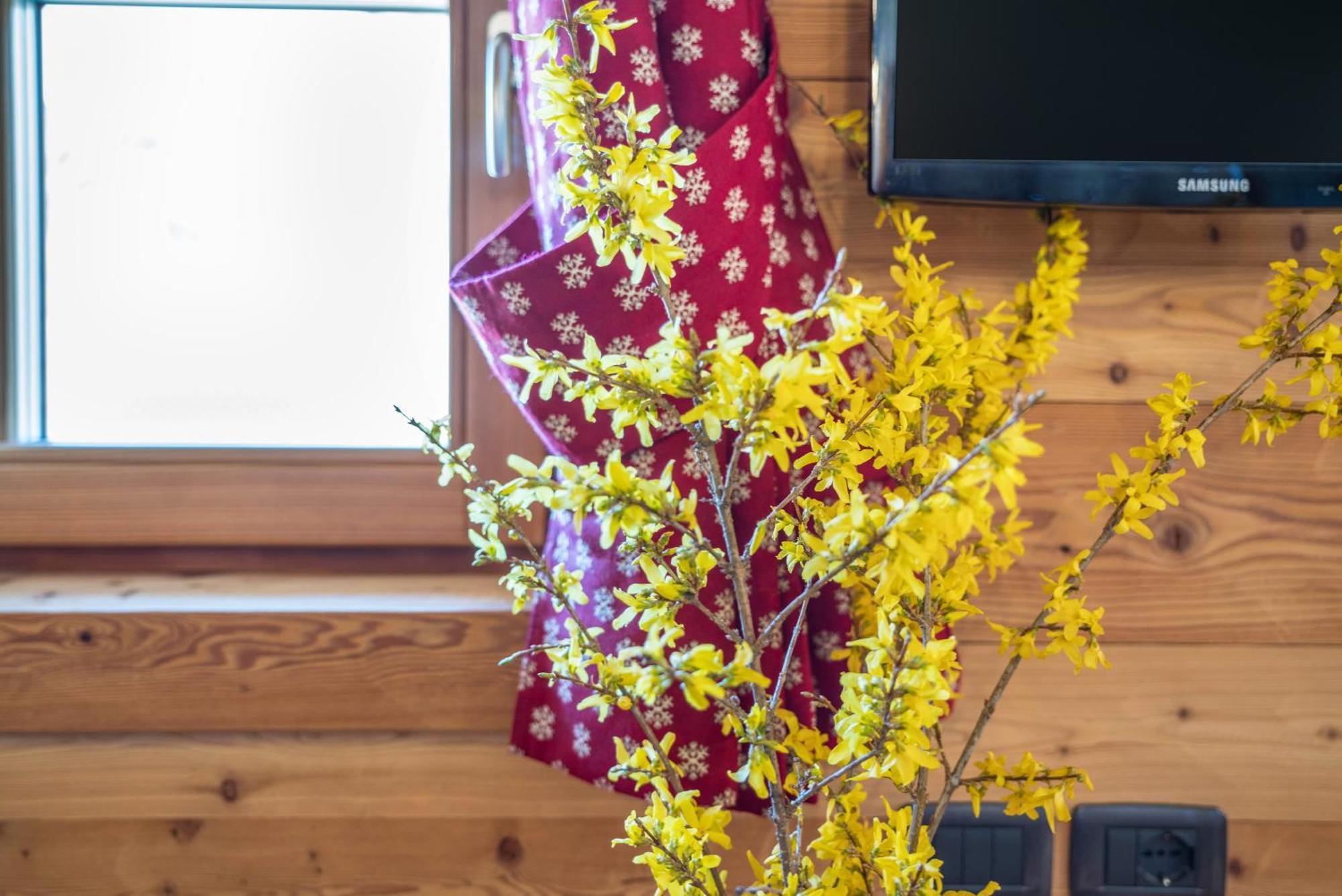 Chalet Camping Fae 1 Madonna エクステリア 写真